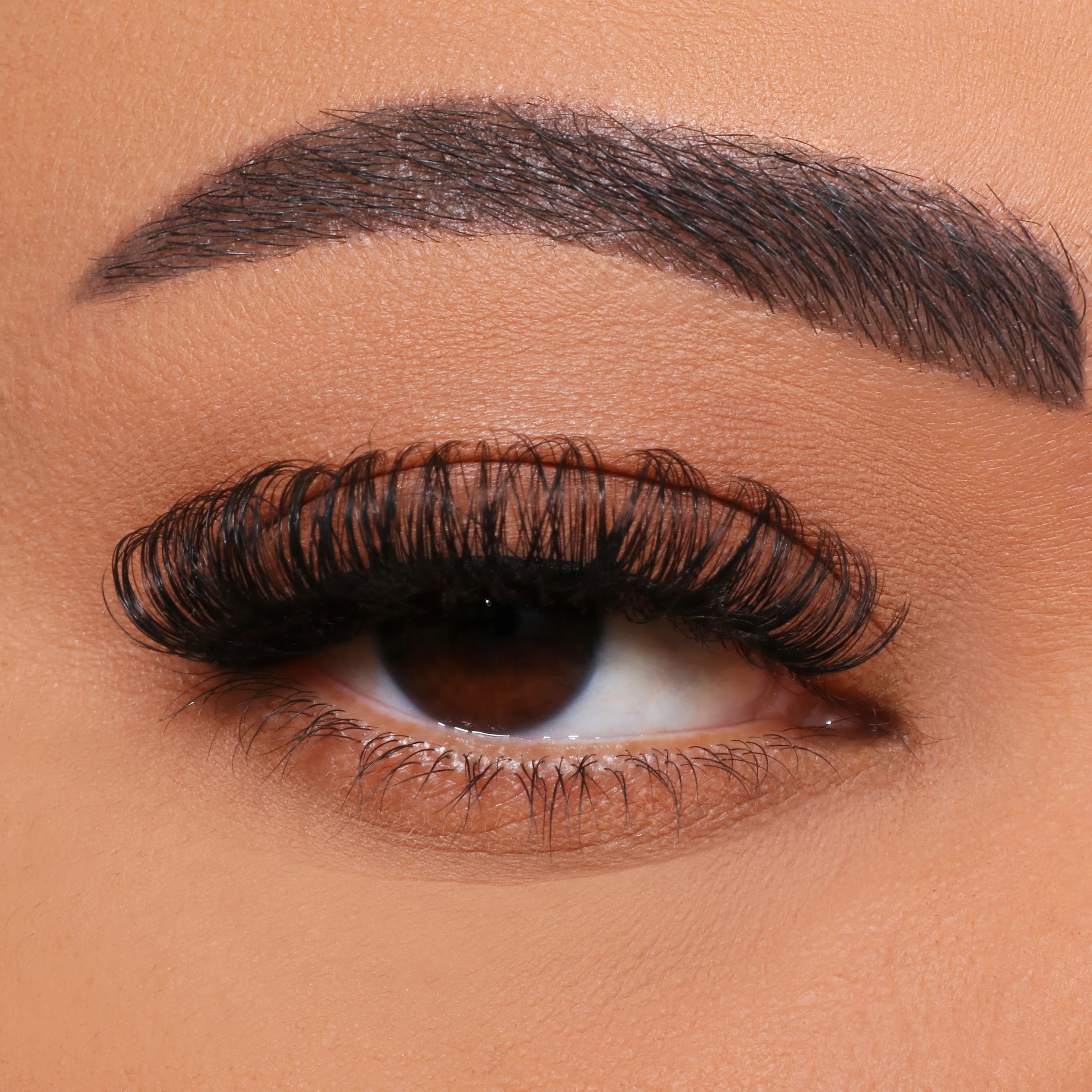 Quam ad DIY multi, Flos Eyelash Insition?